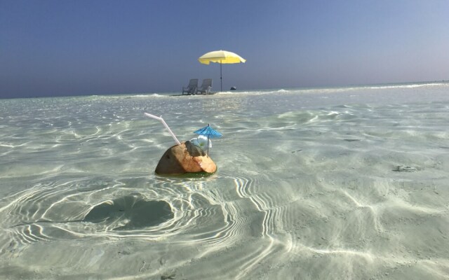Aloha Rasdhoo