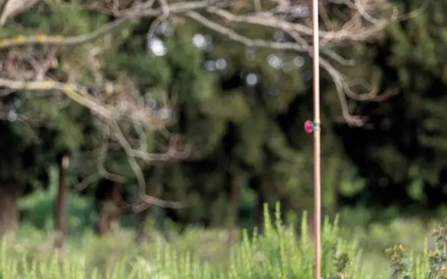 Scorzamara Country Lodges