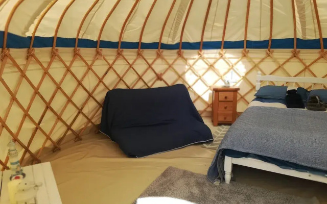 Buzzard Yurt