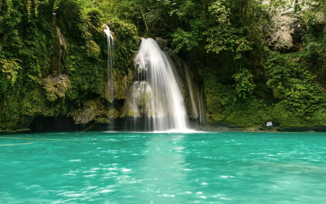 Moalboal Tropics