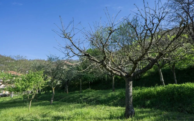 Il Tintore