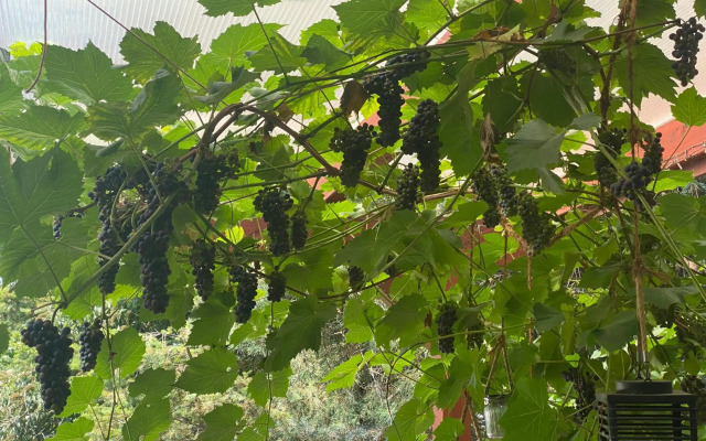 Pool & Lake Holiday Home