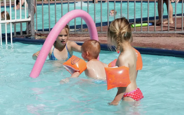 Charming Lodge in Staphorst With Pool Access