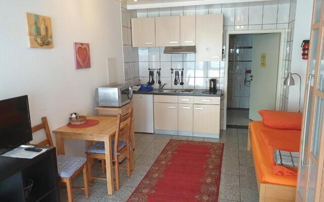 Apartmenthaus "Zum Löwen" Heidelberg - Ziegelhausen