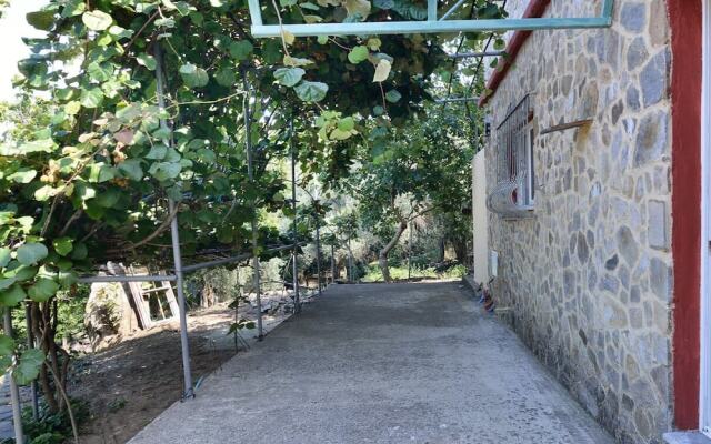 Villa Areti - A Cottage in Cretan Nature