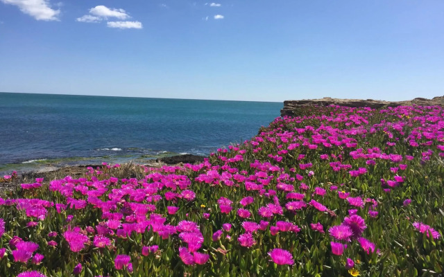 Seafront Dream Apartment
