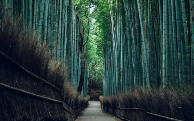 MUNI KYOTO by Onko Chishin