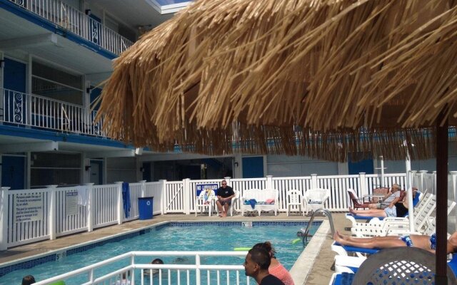 Bird Of Paradise Motel
