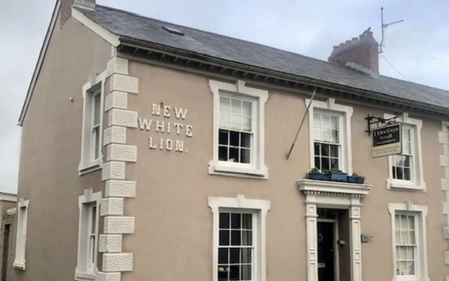 The New White Lion