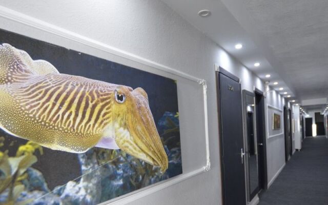 Grand Avsa Beach Hotel