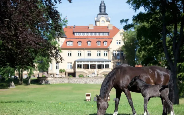 Holiday Home Near Schlosshotel Wendorf Golf