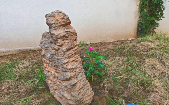 Xinxiang Xinnuo Hotel