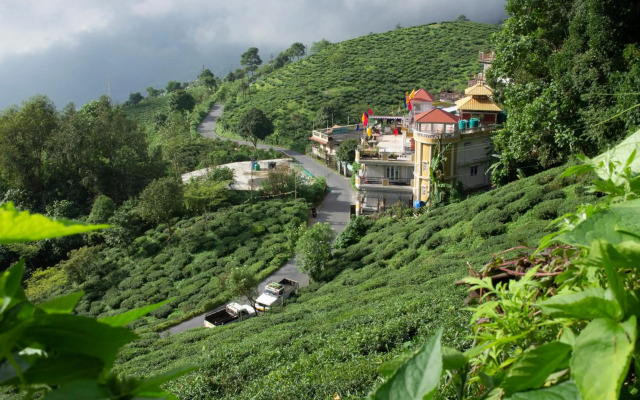 Traditional Homestay