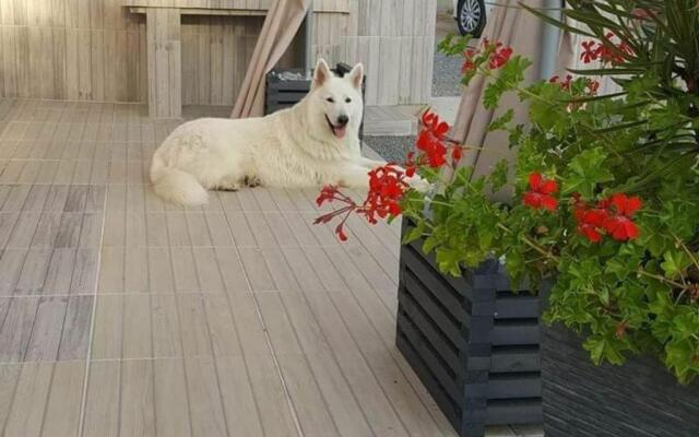 Gîte Brem, 5 pièces, 8 personnes - FR-1-426-103