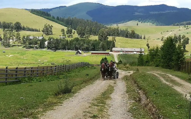 Pensiunea Catalina