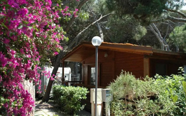 Camping Pionier Etrusco