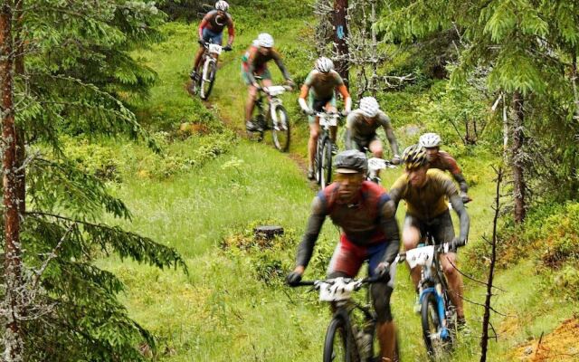 14 Person Holiday Home in Trysil