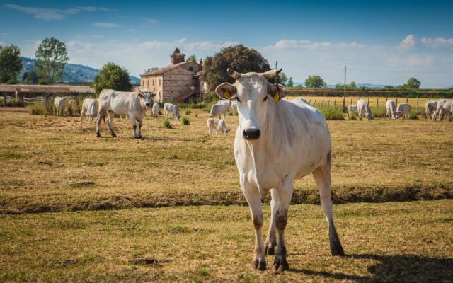 Tenuta la Fratta