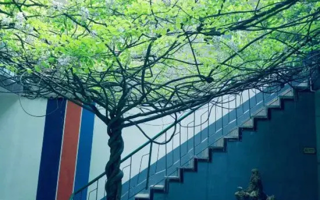 Zhumadian street guest hotel