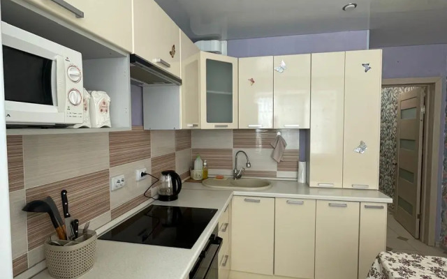 Апартаменты на улице 9 Января 133