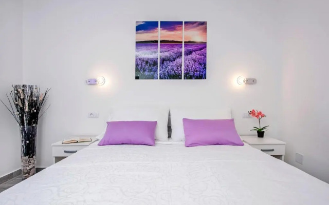 Apartment and Studio Tereza