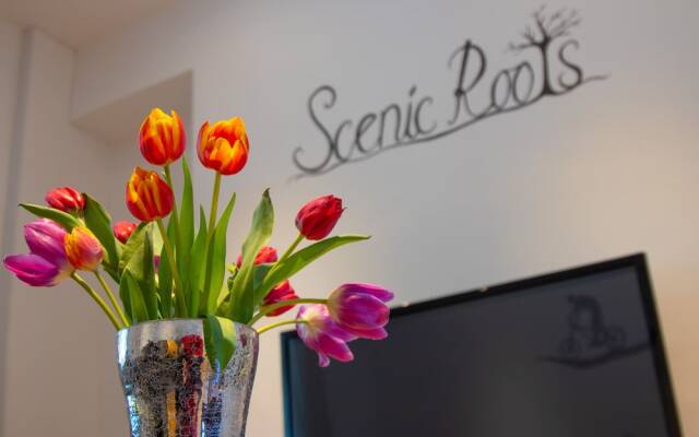 Scenic Roots