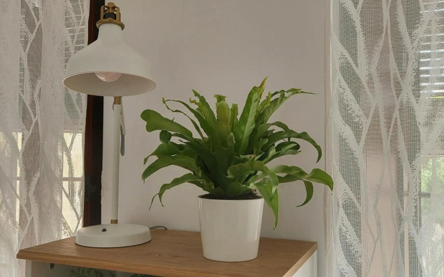 Apartamentos Los Descalzos Ángel