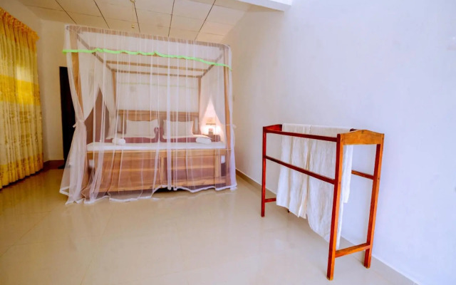 Rainforest River Edge