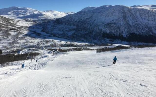 Voss- Myrkdalen Lodge