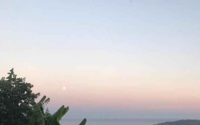 Senayablaevpansiyonculuk