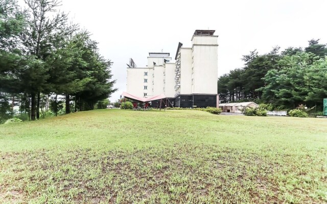 Yangyang See Star Donghae