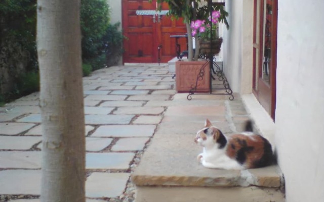 Calico Guest House
