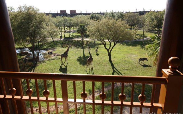 Disney's Animal Kingdom Lodge