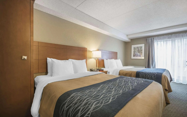 Comfort Inn