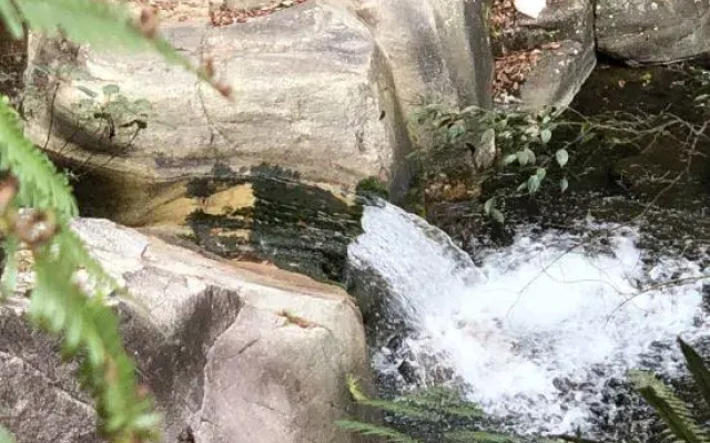 Xinghegu Ecological Resort