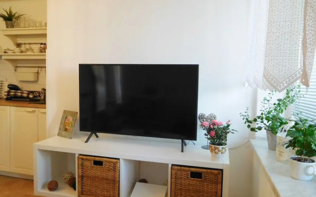 Apartment Boroví