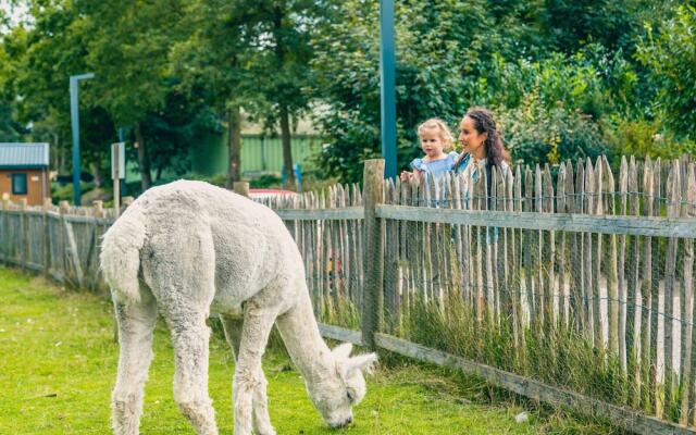 Chalet Near Veluwemeer With Garden Terrace