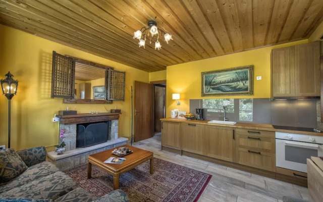 ViP Chalet 4 seasons