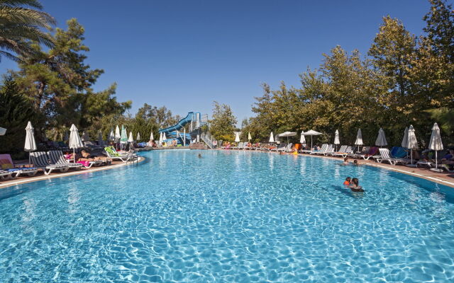 Отель Dosi - All Inclusive