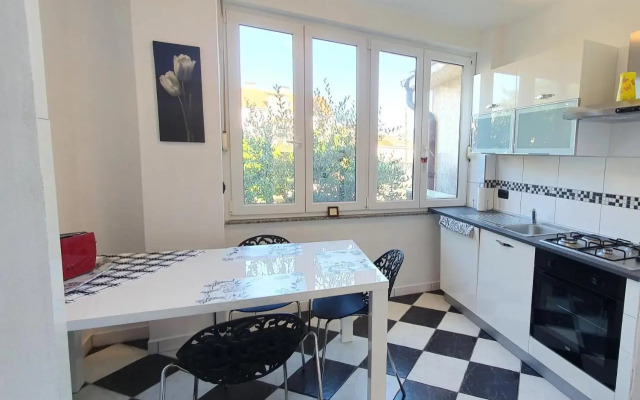 Apartman 39