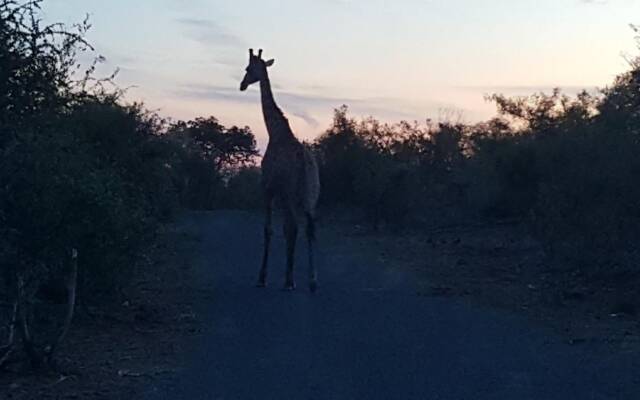 Muweti Bush Lodge