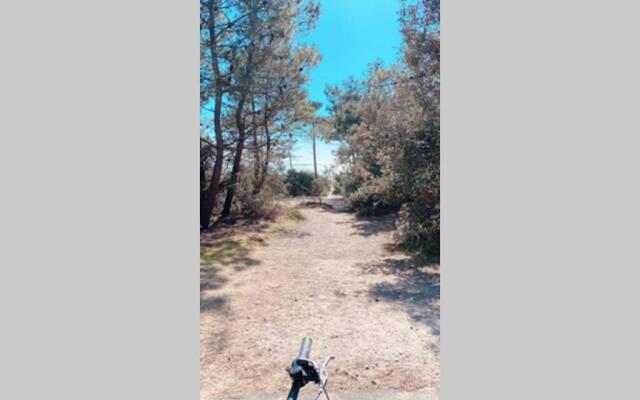 ST PALAIS Appartement cocooning