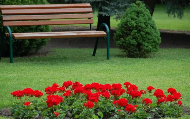 Pálmajor Pihenöpark és Rendezvényközpont