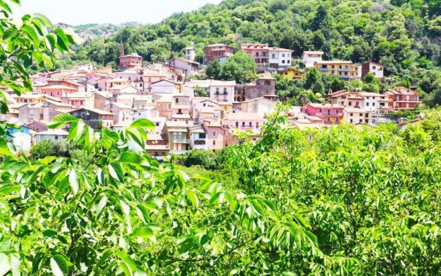 Casa Vacanze il Giardino - Appartamento Agrifoglio
