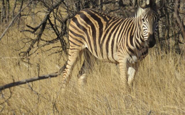 The Baobab Bush Lodge