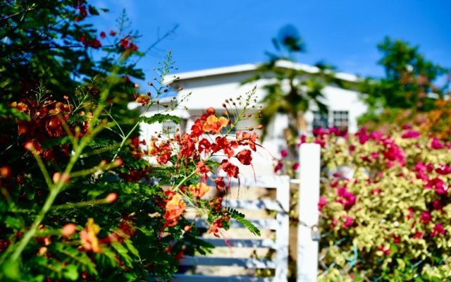 FonteinZen - Home with big garden at Fontein