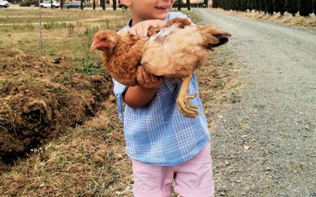 Appartamento Palazzeta With Pool, Near the Sea