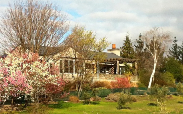 Grey Ridge Vineyard Experience