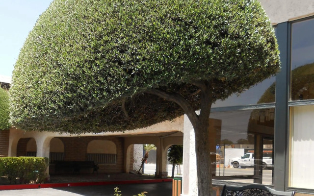 Vagabond Inn Glendale
