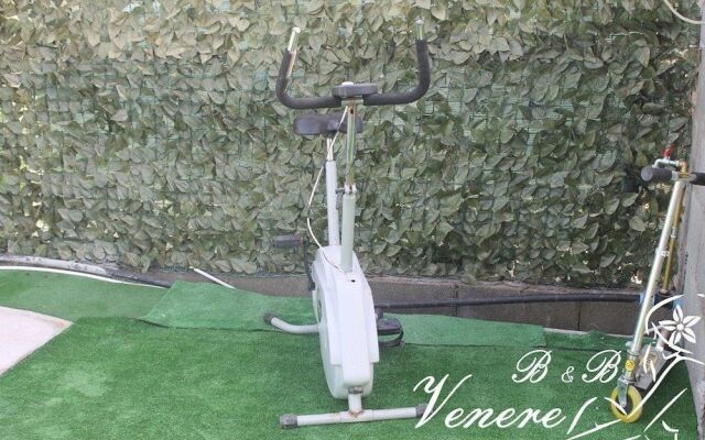 Venere B&B Castelmola